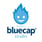 Bluecap Studio's avatar