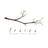 Frasca Food and Wine's avatar
