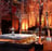 The Angel Orensanz Foundation's avatar