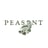 Peasant's avatar