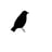 Blackbird's avatar