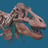 American Museum of Natural History's avatar