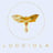 Lucciola Italian Restaurant's avatar