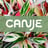 Canje's avatar