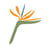 Paradise Point's avatar