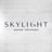 Skylight Denver's avatar