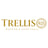 Trellis 925's avatar