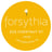 Forsythia's avatar