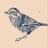 The Meadowlark's avatar