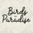 Birds of Paradise's avatar