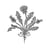LINNAEAN's avatar