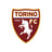 Olympic Grande Torino Stadium (Stadio Olimpico Grande Torino)'s avatar