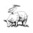 Pelican & Pig's avatar