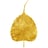 The Cinnamon Club's avatar