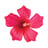 San Antonio Botanical Garden's avatar