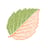 Fort Worth Botanic Garden's avatar