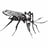 Mosquito Supper Club's avatar