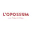 L'Opossum's avatar