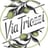 Via Triozzi's avatar