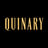 Quinary's avatar
