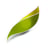 Lima Twist's avatar