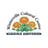 Marigold Auditorium for Arts and Culture's avatar