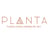 Planta Cocina - Marina del Rey's avatar