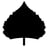 Bosque Brewing Co. Public House - Nob Hill's avatar