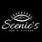 Scenic’s Bar N Kitchen's avatar