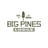 Big Pines Lodge's avatar