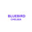 Bluebird Chelsea's avatar