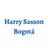 Harry Sasson Bogotá's avatar