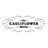 The Cauliflower Hotel's avatar