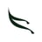 The Medina Restaurant's avatar