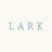 Lark's avatar