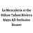 La Mezcaleria at the Hilton Tulum Riviera Maya All-Inclusive Resort's avatar