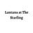 Lantana at The Starling's avatar