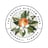 The Orange Blossom Barn's avatar