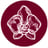 Foundation Social Eatery's avatar