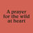 A Prayer for the Wild at Heart's avatar