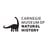 Carnegie Museum of Natural History's avatar