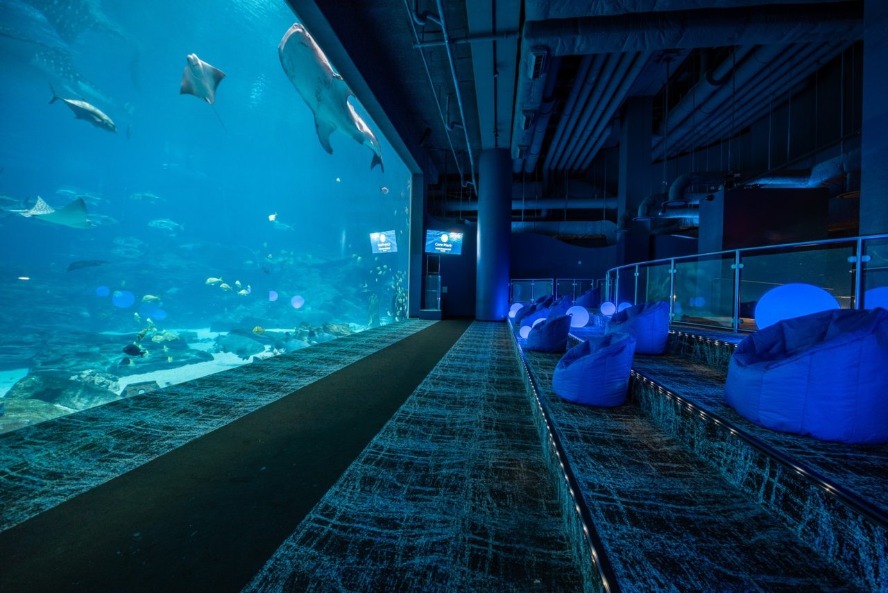 Aquarium Museum / Gallery in Atlanta, GA