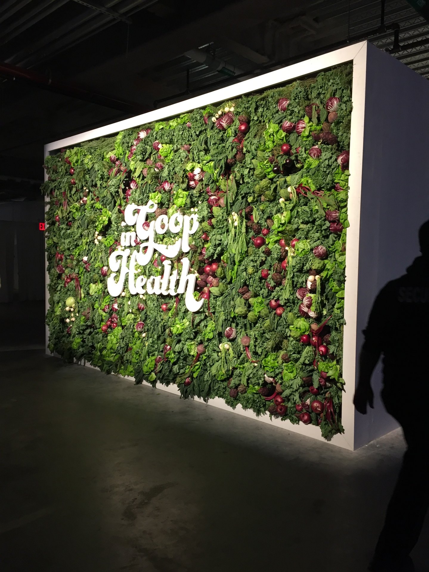 In Goop Health Summit Tradeshow / Expo Activation in New York, NY