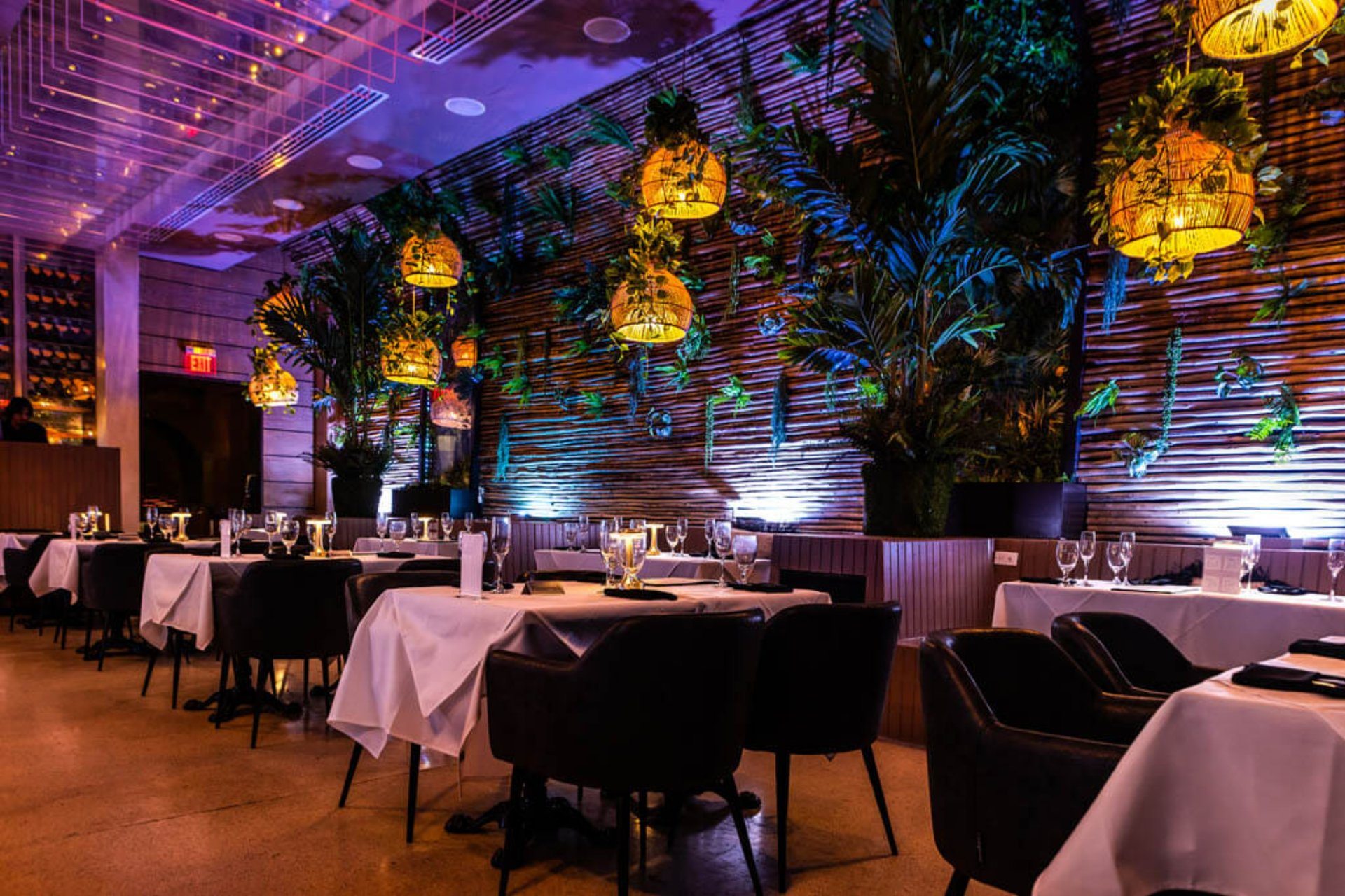 Playa Miami - Mediterranean Restaurant in Miami Beach, FL | The Vendry