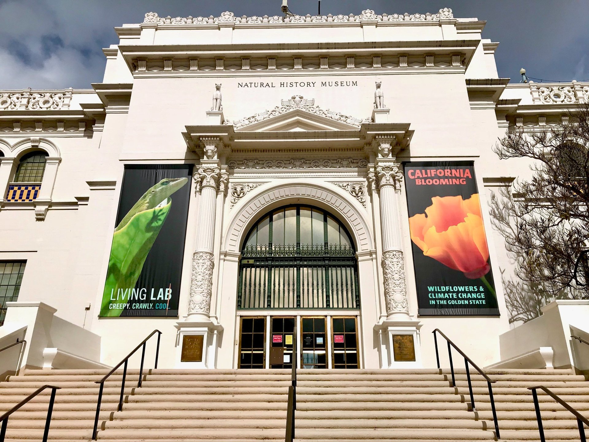 san-diego-natural-history-museum-museum-gallery-in-san-diego-ca