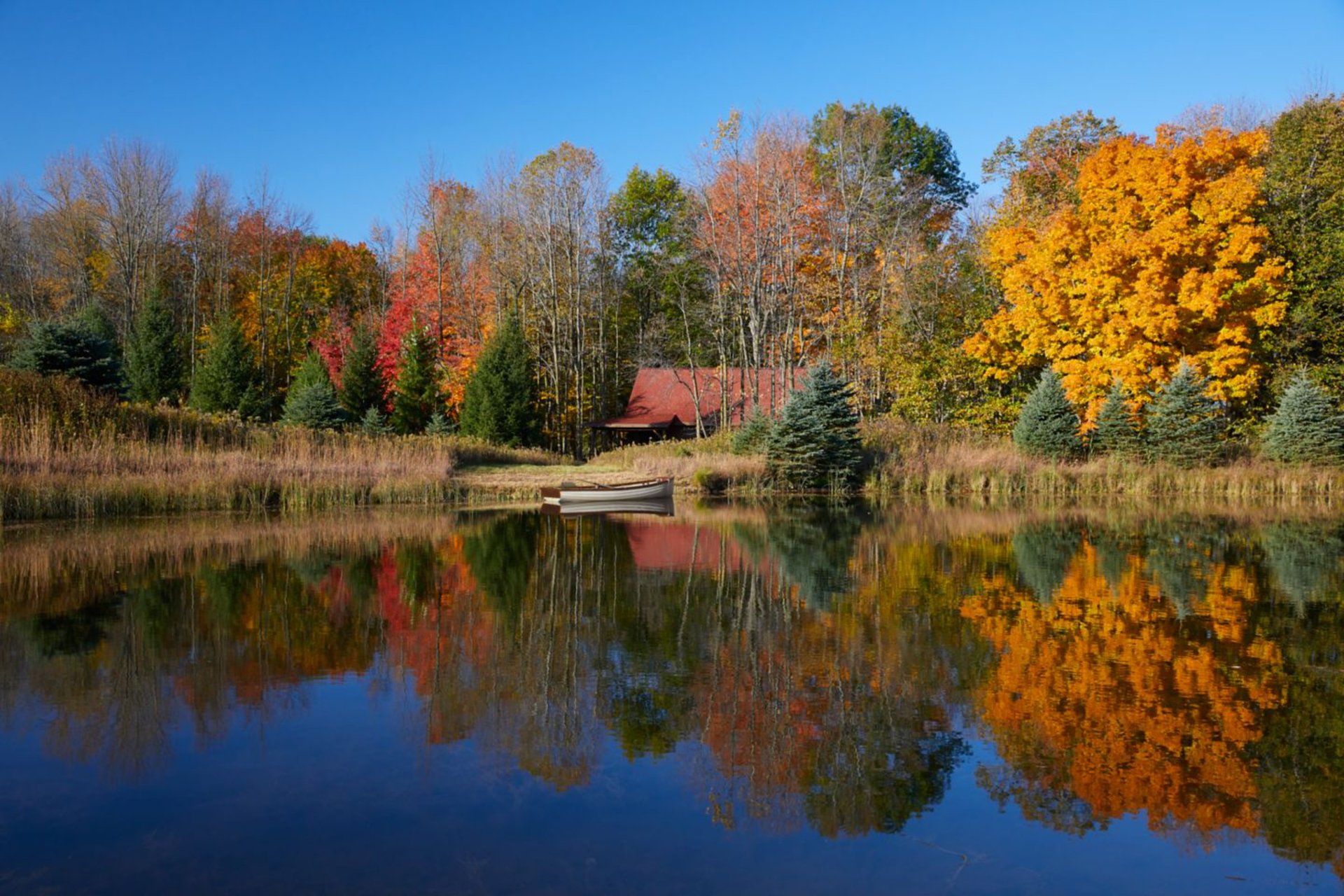 Pond Cabin - Hotel in Sheboygan, WI | The Vendry