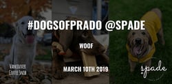 SPCA Treatweek with #DogsOfPrado