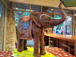 Busch Gardens Elephant Pop-Up