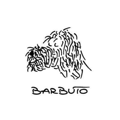 Barbuto's avatar