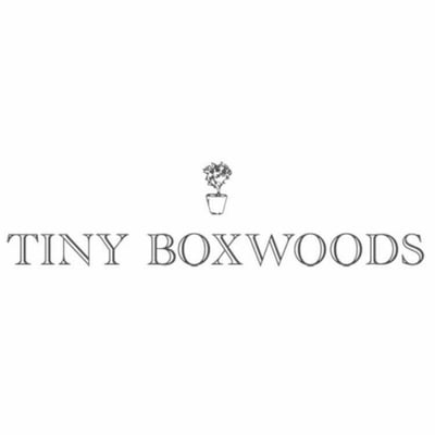 Tiny Boxwoods Austin's avatar
